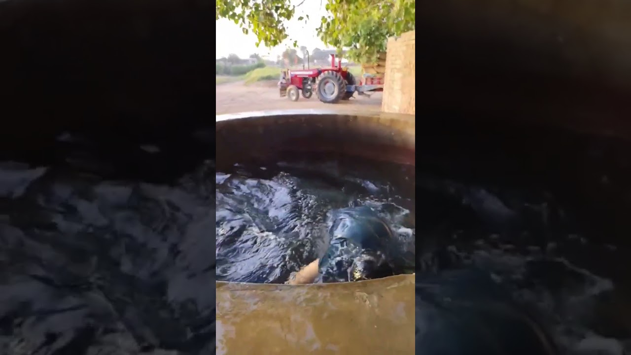 enjoy summer vacation in pakistan # shorts 