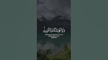 #سورة #اكسبلور #المصحف #القرآن_الكريم #قران #alaa_mustafa_1 #1islam_571 #explore #لايك #راحة_نفسية