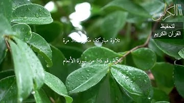 الآية رقم 56 من سورة الأنعام   مكررة 30 مرة