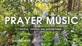 🟢[Grace Bada] Joyful, Joyful, We Adore Thee 🎹 Relaxing Piano Hymn, Christian Meditation Prayer Music screenshot 4