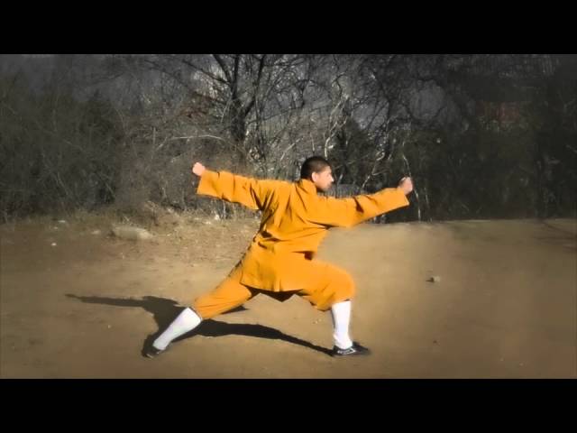 Northern Shaolin Kung Fu 12 Tan Tui ( Shifu Sal Redner )