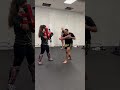 Defending and Countering the Low Kick