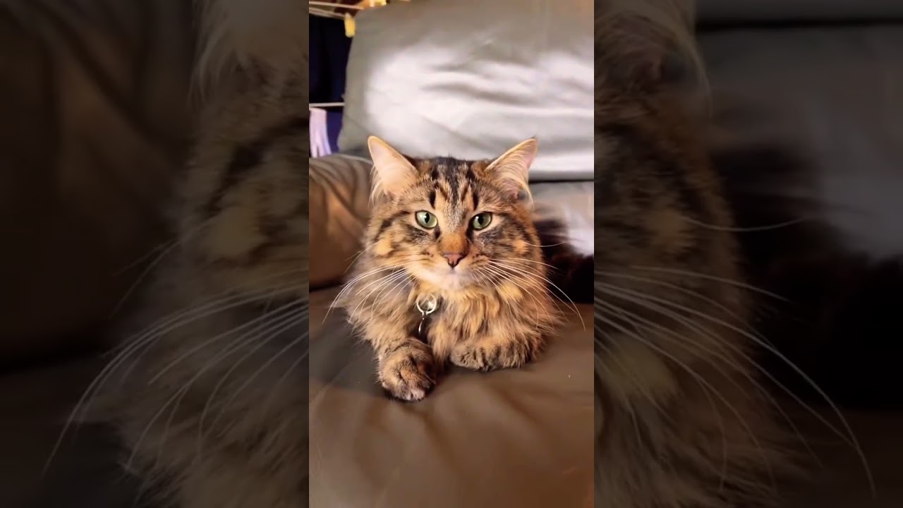 Yeahhh do u like it? 