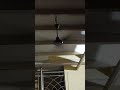 #shortvidio