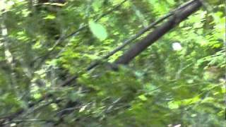 Short Green Clip Of Nothing