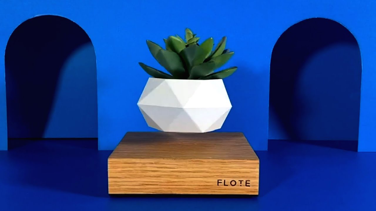 5 Best Floating Plant Pots For Decorating Your House