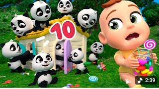 "🎶 My Little Panda: Catchy Nursery Rhyme Kids Song 🐼 | Fun Sing-Along for Children!"