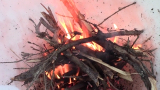 Celebrity How To Build A Fire On Snow Net Worth
