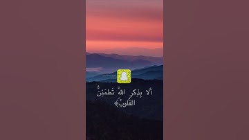 القارئ أحمد العبيد