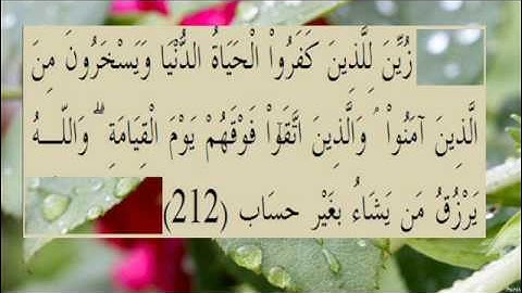 القران الكريم سورة البقرة الاية  212