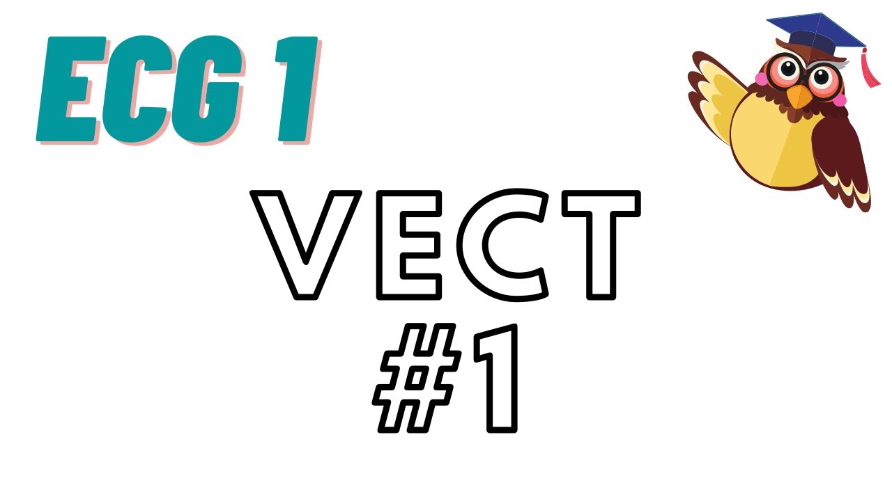 Espaces vectoriels : cours 7 : Vect #1