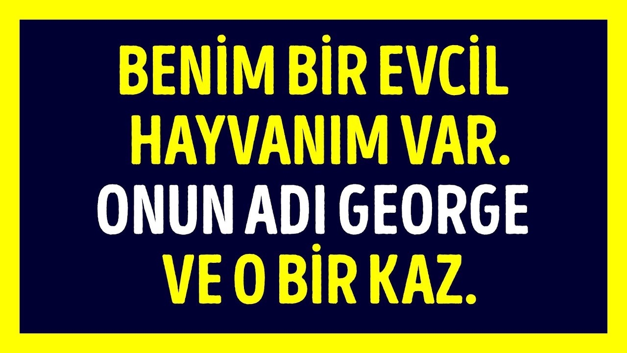 yaratıcılık kuralları boşverin Evcil Hayvanların Hayatımıza Kattığı Zor Ama Eğlenceli Anlara Dair 10 Hikaye