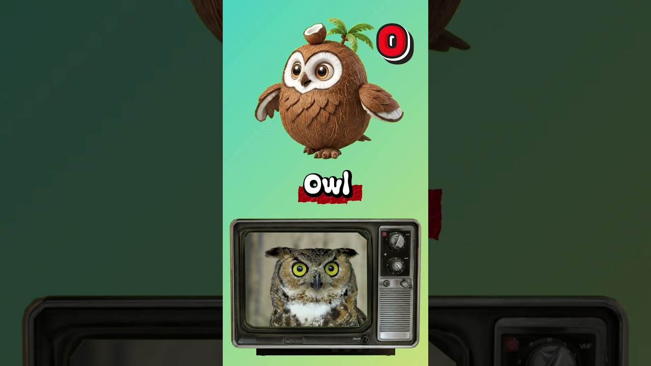 M-P Monkey Nyala Owl Panda vs Blueberry Coconut Lime DragonFruit – Mudflow Noreaster AcidSea