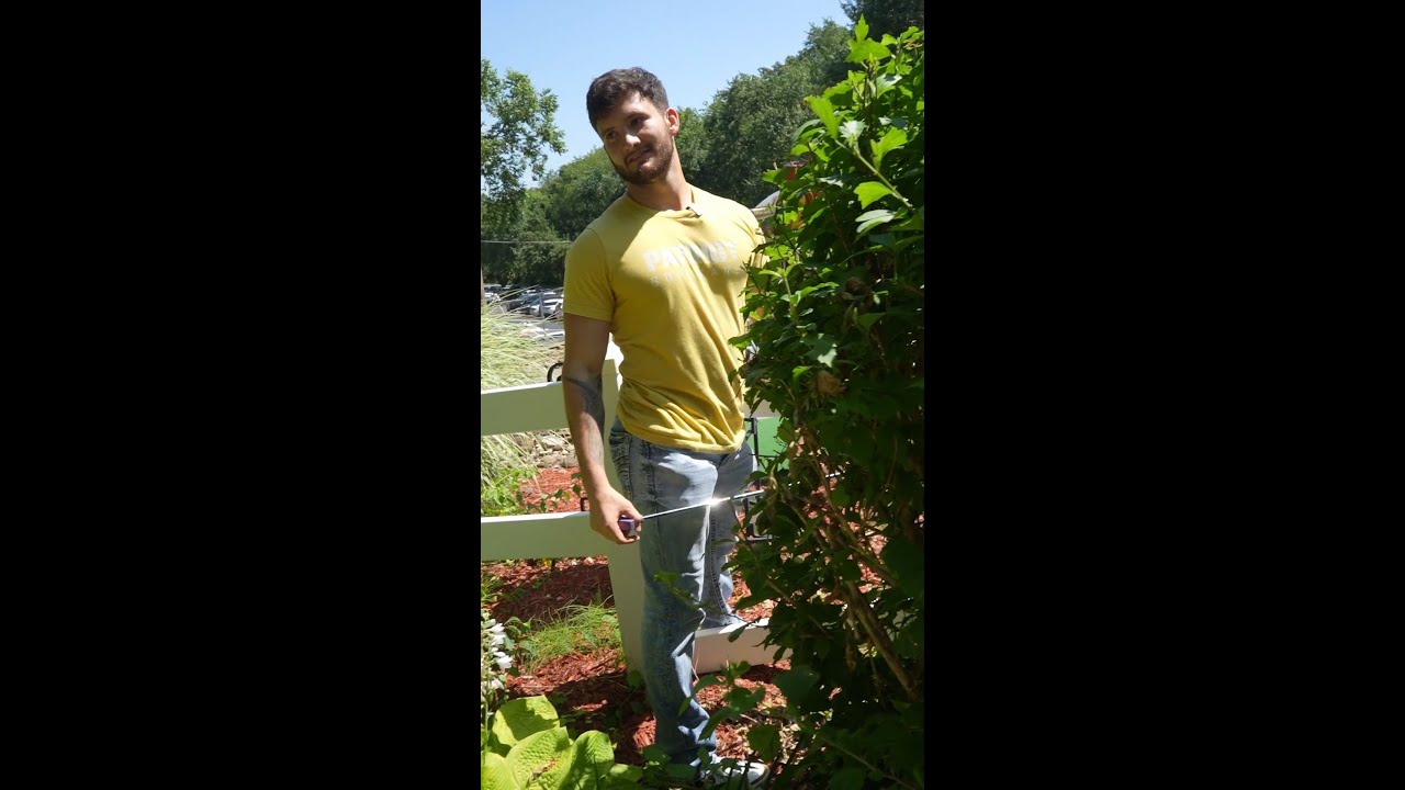 POV Coworker Bonding Time 