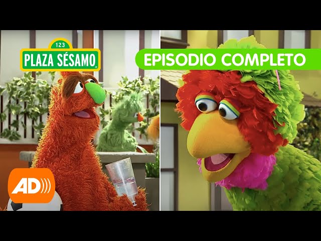 Plaza Sésamo: Un monstruo es grosero con Abelardo | Episodio completo class=