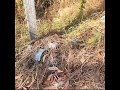 ಹಾದಿ, ಬೀದಿಗಳಲ್ಲಿ ಏನುಂಟು? ನೋಡಿ! ನಾವೇಕೆ ಮನೆಯ ಕಸ, Plastic ಗಳನ್ನು Panchayath ಗೆ ಕೊಡುವುದಿಲ್ಲ?