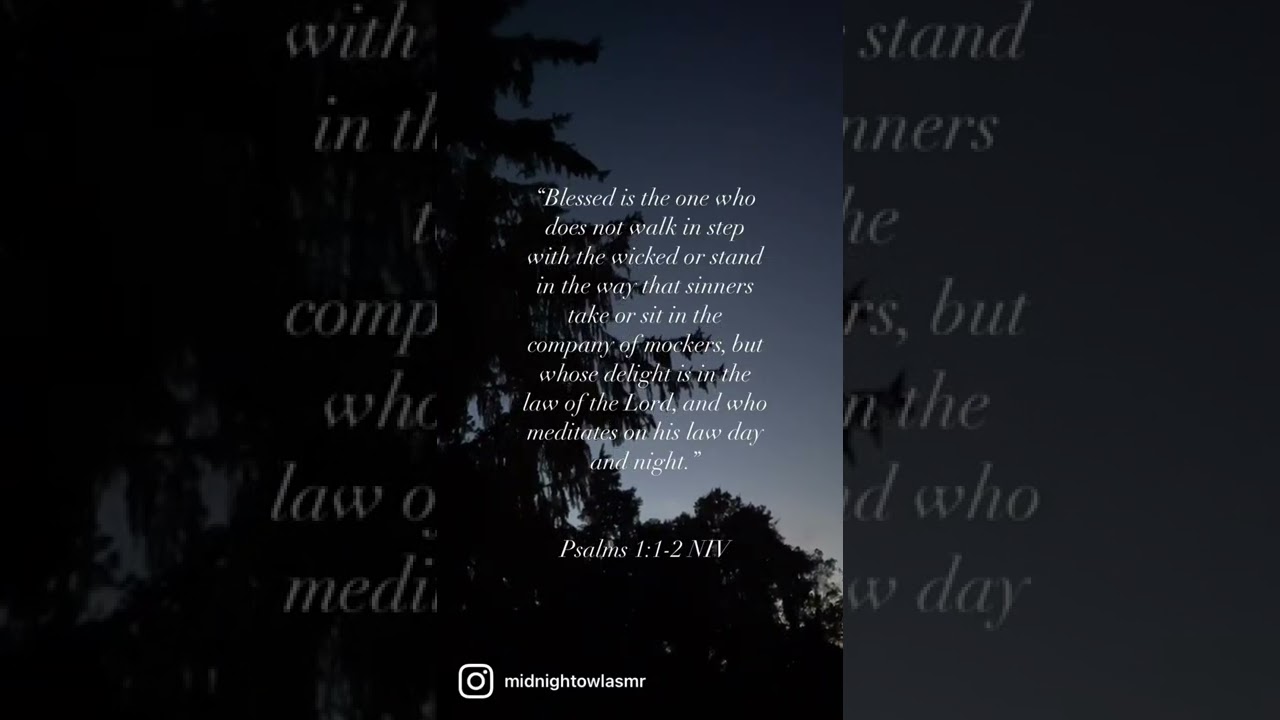 Nighttime Scripture Meditation Psalm 1:1-2 Crickets and Night Ambience | Christian ASMR No Talking