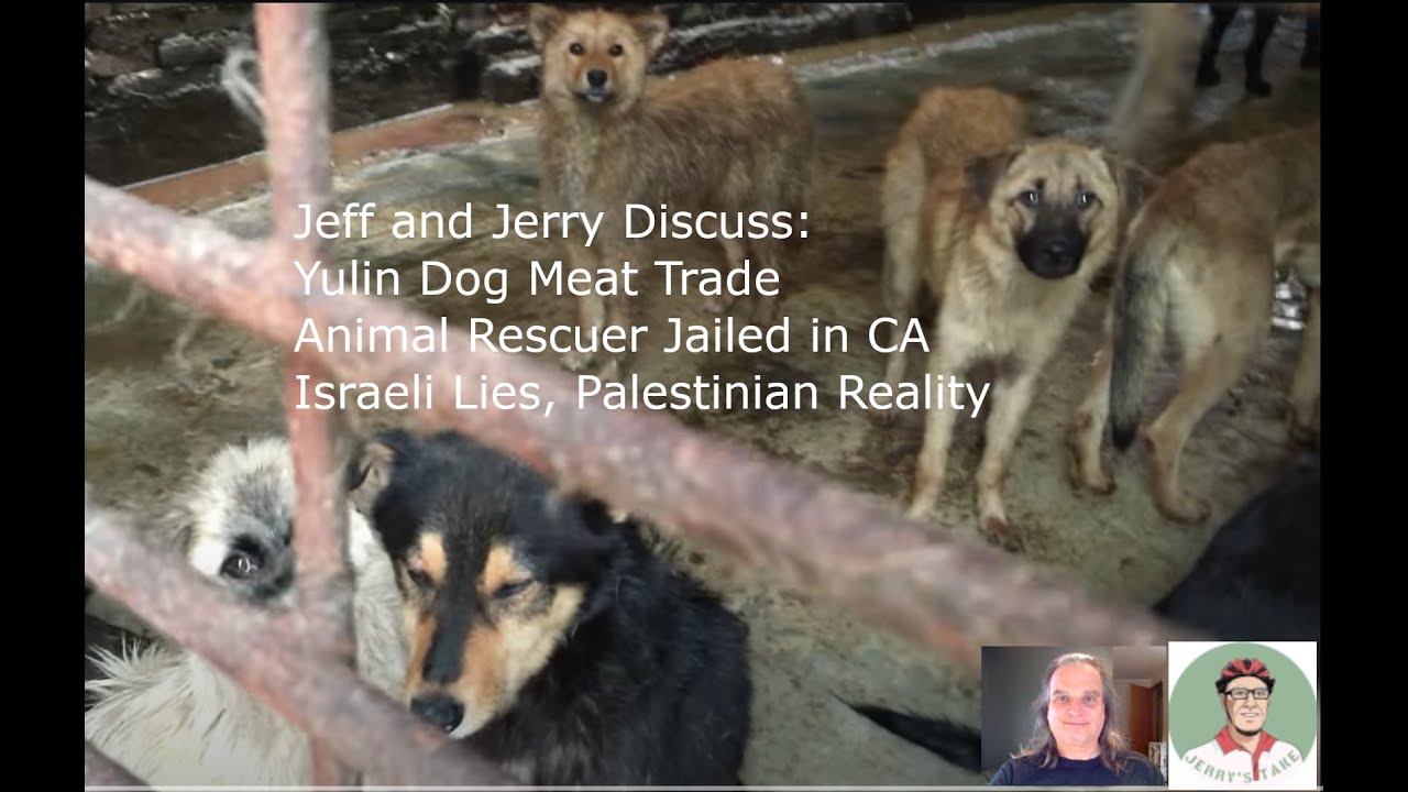 Yulin Dog Meat Trade; Animal Rights Activist Jailed; Israeli Lies vs. Palestinian Reality