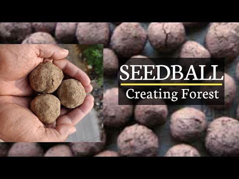How To Make Seed balls & Seed Bombs Simple, Quick (Hindi)