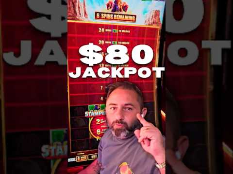 $80 SPIN STAMPEDE FEATURE HITS THE JACKPOT! 🦬💰 Buffalo Ultimate Stampede #shorts #shorts #fyp