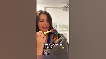 This kind woman saved an injured bird, and then this happened #rescue #birds