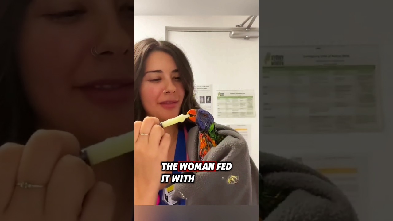 This kind woman saved an injured bird, and then this happened 
