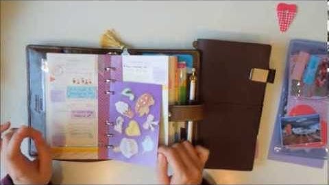 Using both a Filofax and Midori TN on a Daily Basis