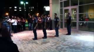 Gamma Lambda | Delta Line Salute