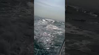 #ocean #sea #boat #ship #coast #beach #speed #speedboat #music #nature #ig #travel #shorts #yt #reel