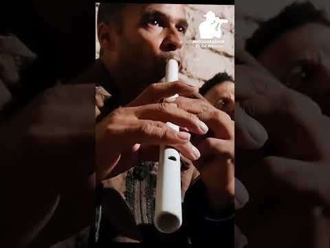 قصبة نايلي روعة القصاب الشيخ البنادري قسوم