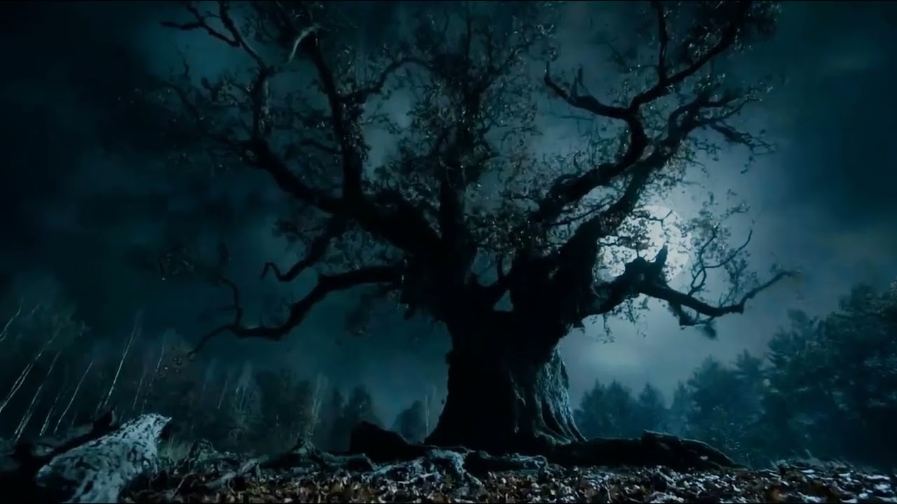 Холод внутри. Автор Елена Тумашева 