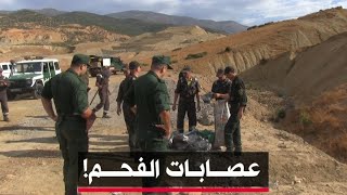 🔴 #عين_الدفلى  | محافظة الغابات تلاحق عصــابات الفحم وتحكم قبضتها على النشاط غير الشرعي.