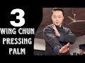 Master Tu Tengyao 3 Wing Chun Self Defense Methods - Pressing Palm