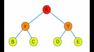 BSP Trees - Binary Space Partitioning