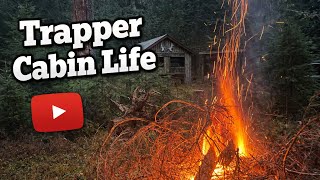 Slash, Smoke, & Chainsaws: Cabin Cleanup in the Northern Wild