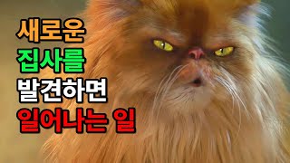 망상을 현실화 하다 #넷플릭스 #러브데스로봇 #고양이 #로봇 #러브데스로봇 시즌4