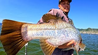 How to Catch Barramundi at Proserpine Dam: 3 Day Camping Trip