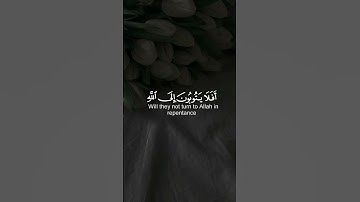 الأية 74 من سورة المائدة 🎧