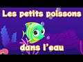 Les petits poissons dans l