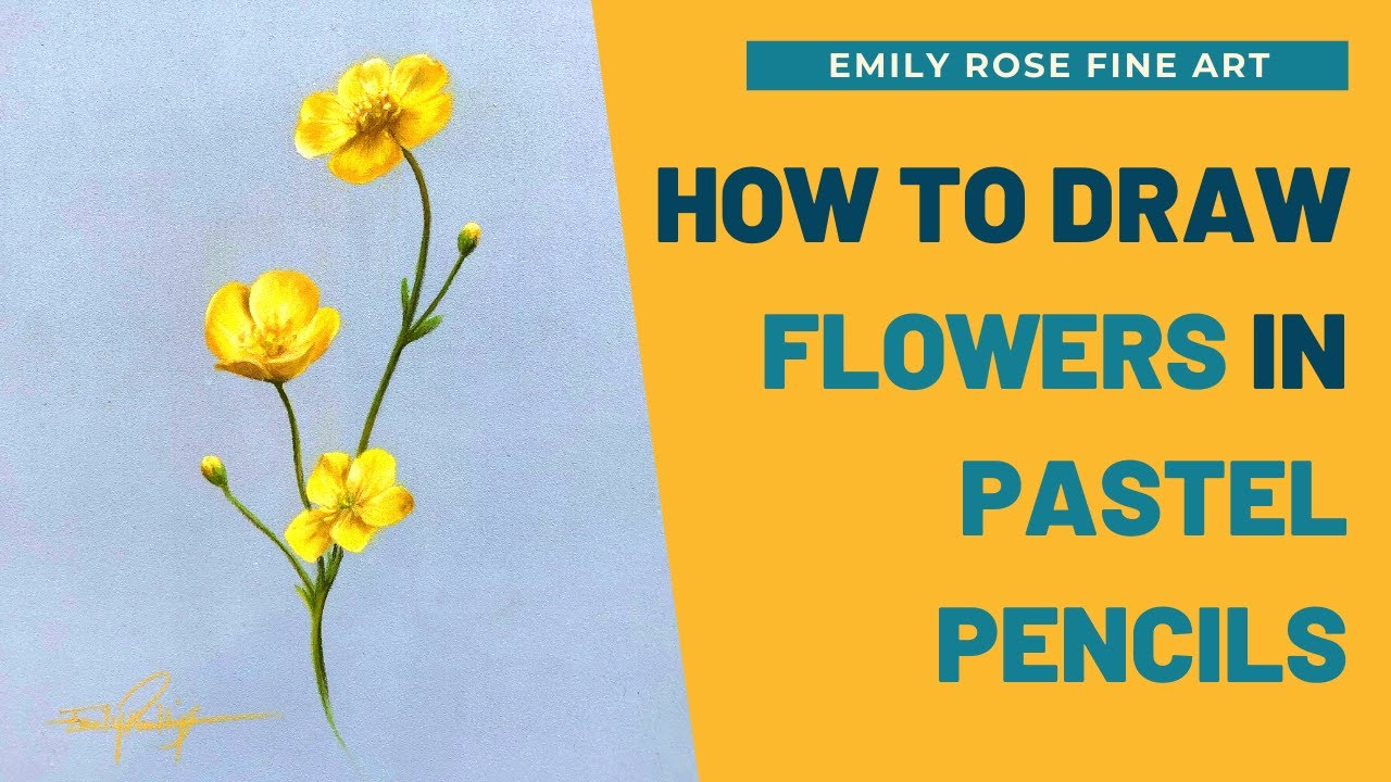 How to Use Pastel Pencils - Emily Rose Fine Art