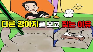 산책시 다른 강아지를 보고 짖는 강아지 교육법