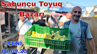 Sabunçu Toyuq Bazarı 03.09.2023 @mubarizemintv2271