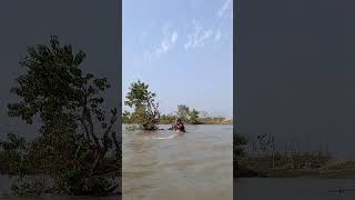 River side throw by castnet caught a big koral fish #foryoupagereels #fishing #bdyoutubebangladesh