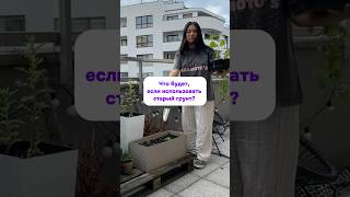 Поленилась я, а страдают теперь растения 🙈 #огороднаподоконнике #огороднабалконе #растениядома