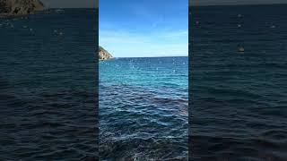 Catalina Island water is so clear