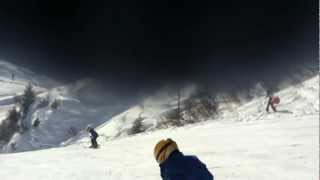 IMG 14461