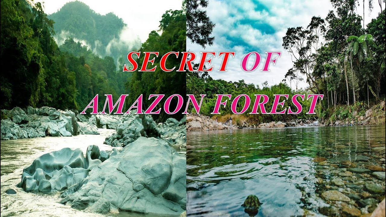 Amazon Jungle Ka Rahasya In Hindi Amazon Rainforest Forest Video In