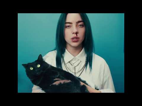 billie-eilish-ft.-owlkitty-(bad-cat)
