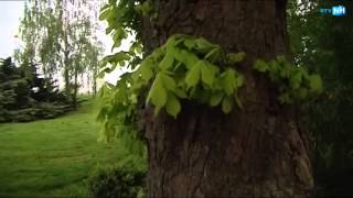 Amsterdammer Doet Gratis Klussen Vanuit Zn Klusbus