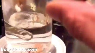 How to clean your DAB RIG - Easy Fast Guaranteed!